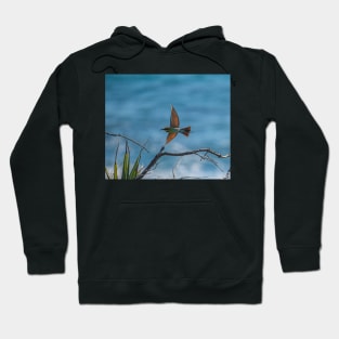 Bee Eater Hoodie